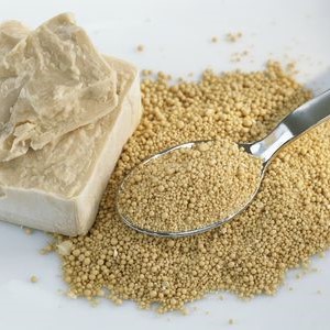 Raising Agents; Improvers & Yeast - Relianz Foods